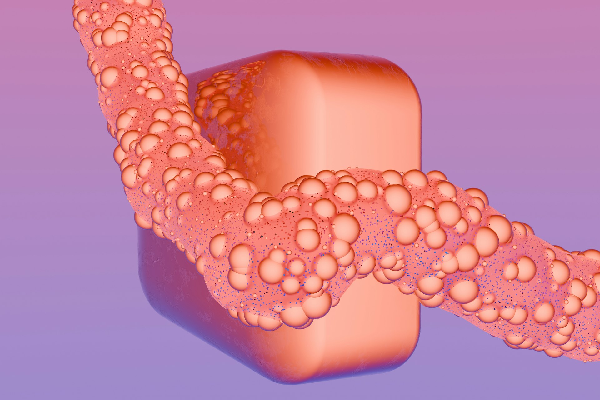The Gut-Skin Connection: How Digestive Health Shapes Skin Wellness