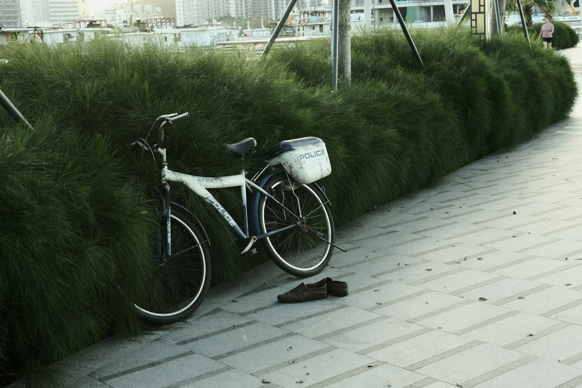 Transform Your Life: 50+ Proven Eco-Friendly Lifestyle Habits That Save Money and Planet