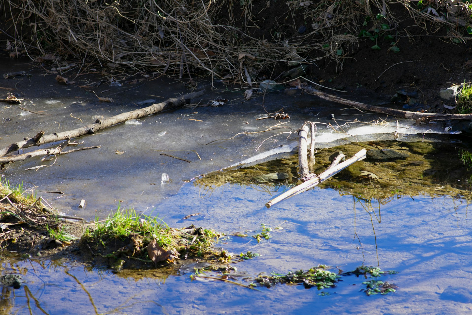 How Water Pollution Impacts the Environment: Causes, Consequences, and Solutions