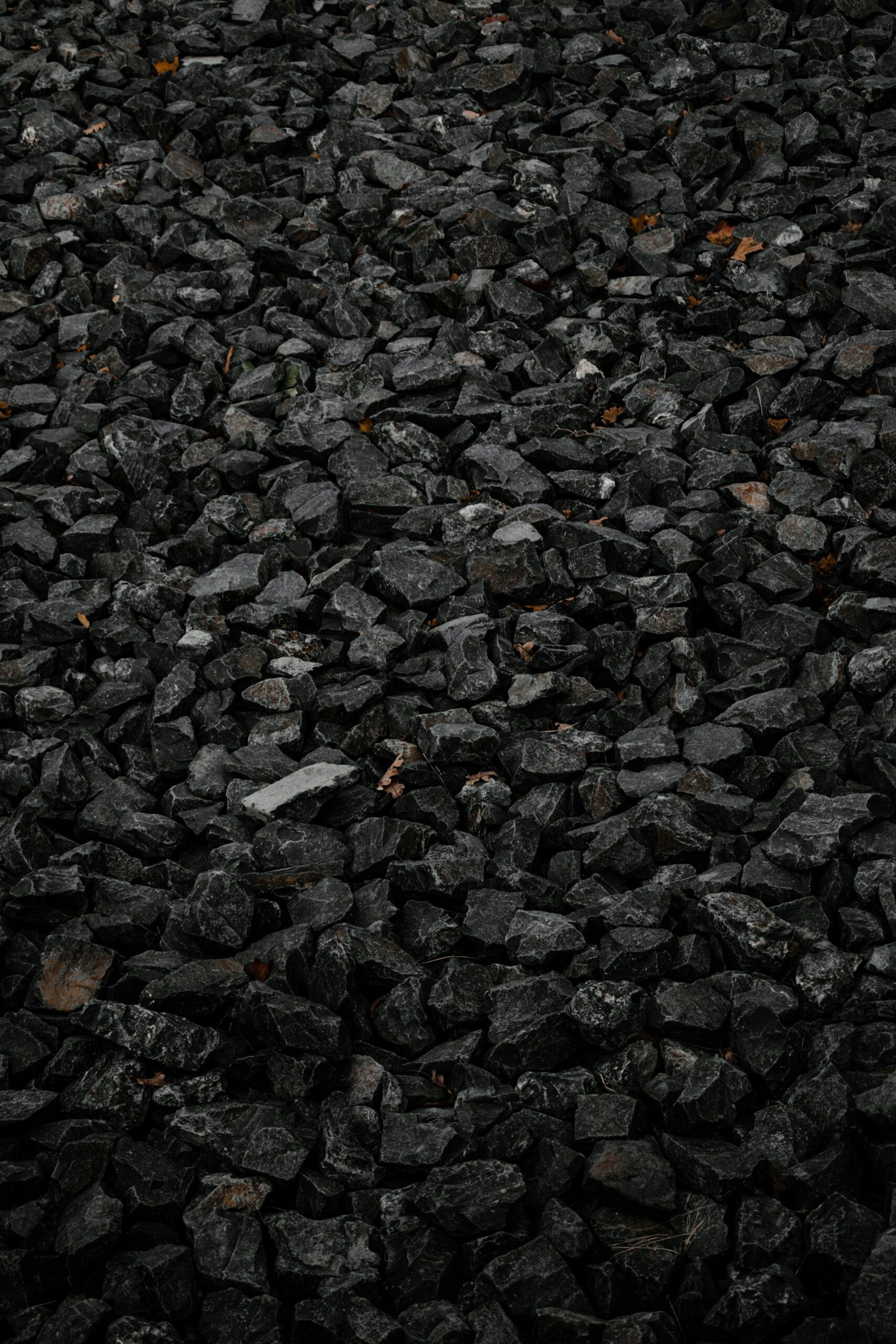 Is Coal Good for the Environment? The Environmental and Health Impacts of Coal Use