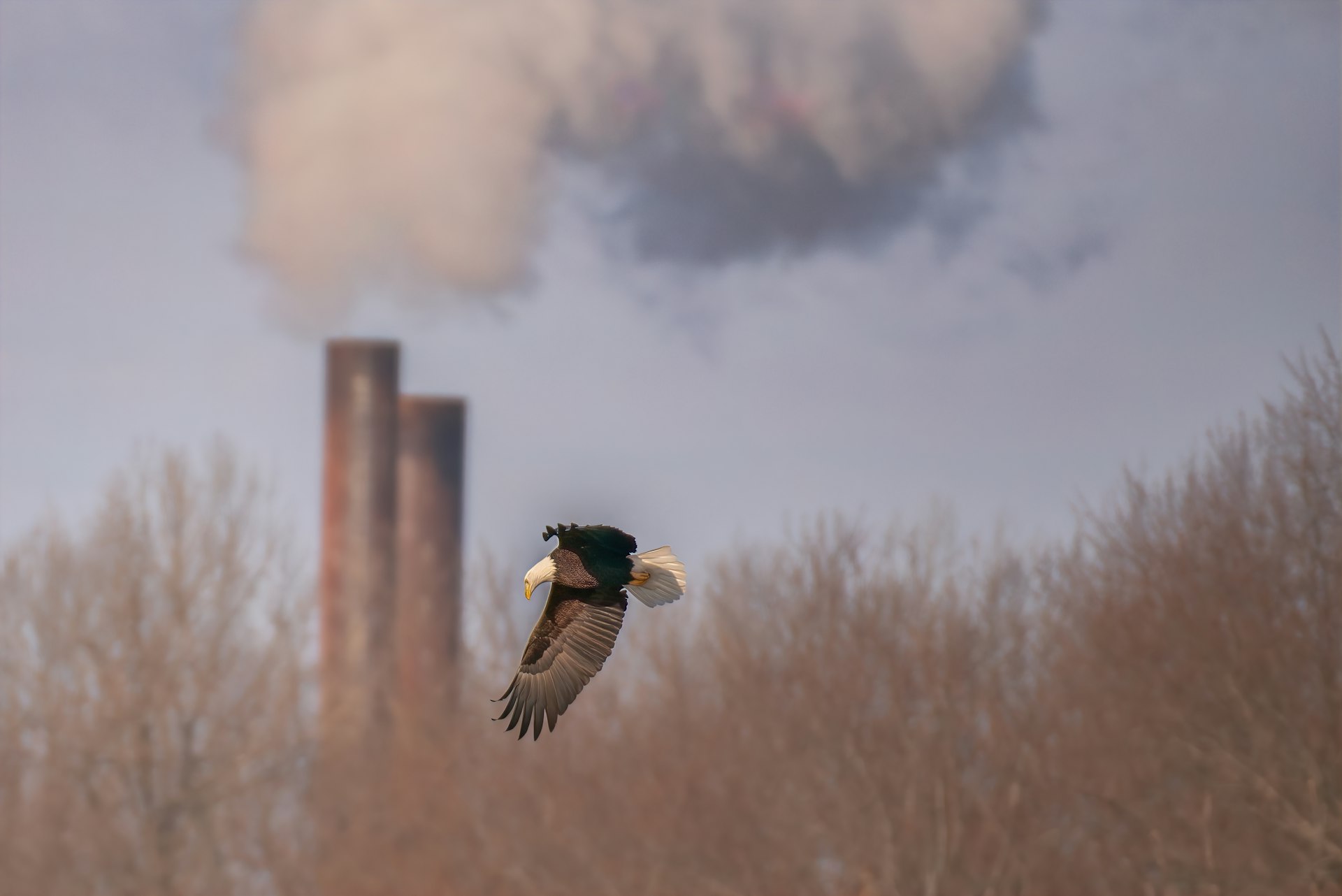The Environmental Impact of Burning Fossil Fuels: Causes, Effects, and Sustainable Alternatives