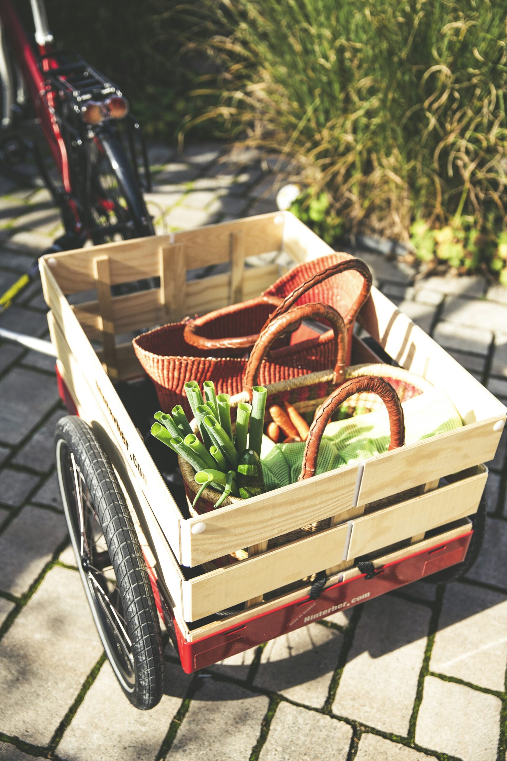 Begin Your Journey: Practical Steps Toward a Sustainable Lifestyle